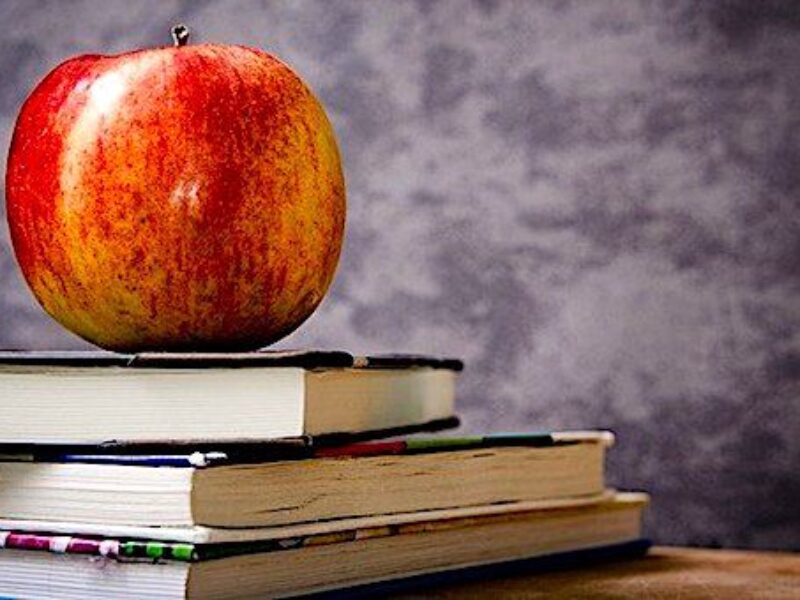 (Image by Michal Jarmoluk from Pixabay)