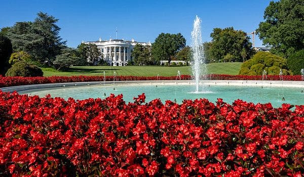 Begonias bloom around the fountain, Friday, Sept. 15, 2023, on the South Lawn of the White House. (Official White House photo by Carlos Fyfe)