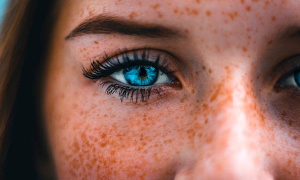 (Photo by TOMMY VAN KESSEL on Unsplash)