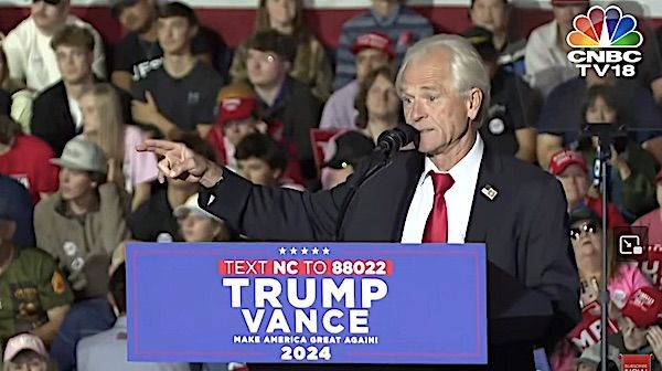 Peter Navarro (Video screenshot)