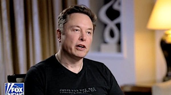 Elon Musk (Video screenshot)