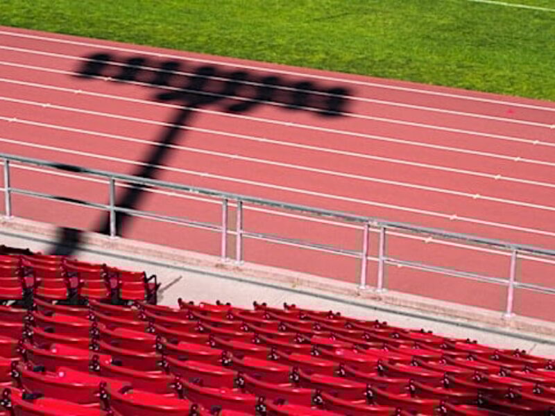 (Photo by Max Di Capua on Unsplash)