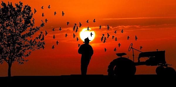 (Image by RENE RAUSCHENBERGER from Pixabay)
