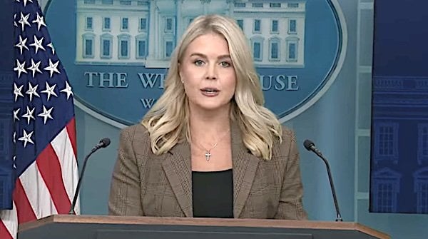 White House Press Secretary Karoline Leavitt (Video screenshot)