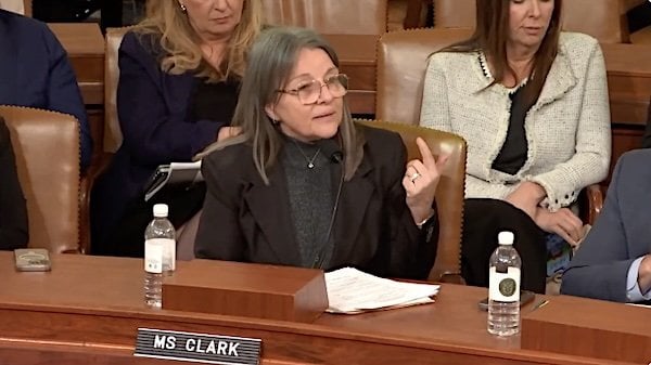 Sheila Clark, president and CEO of the California Hospice and Palliative Care Association (Video screenshot)